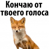 Стикер #5 из набора ? День Радио