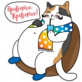 Стикер #5 из набора Радужные котики