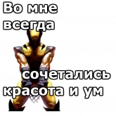 Стикер #6 из набора Росомаха