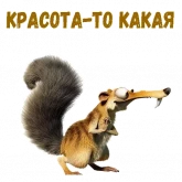 Стикер #11 из набора Скрат