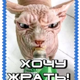 Стикер #12 из набора Сфинкс