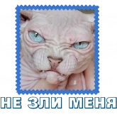 Стикер #6 из набора Сфинкс