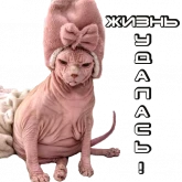 Стикер #11 из набора Сфинкс