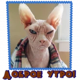 Стикер #2 из набора Сфинкс