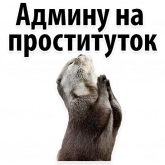 Стикер #5 из набора Подпишись, пожалуйста