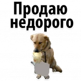 Стикер #11 из набора Подпишись, пожалуйста