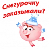 Стикер #11 из набора Новогодние Смешарики