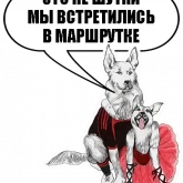 Стикер #3 из набора Собачки