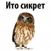 Стикер #5 из набора ?Совиный Сленг