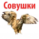 Стикер #3 из набора ?Совиный Сленг