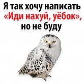 Стикер #2 из набора ?Совиный Сленг