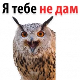 Стикер #12 из набора ?Совиный Сленг