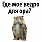 Стикер #6 из набора ?Совиный Сленг