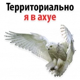 Стикер #8 из набора ?Совиный Сленг