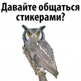 Стикер #9 из набора ?Совиный Сленг