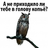 Стикер #7 из набора ?Совиный Сленг