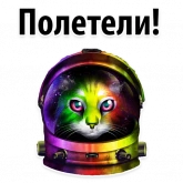 Стикер #6 из набора Космические Коты