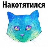 Стикер #5 из набора Космические Коты