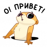Стикер #2 из набора Сурик
