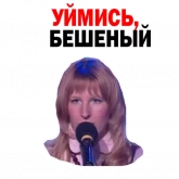 Стикер #9 из набора Федор Двинятин