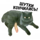Стикер #3 из набора Коты Ебучие