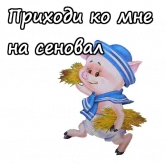 Стикер #9 из набора Три поросенка