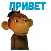 Стикер #2 из набора 38 попугаев