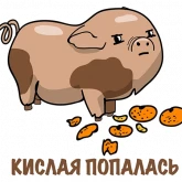 Стикер #10 из набора Хрюня