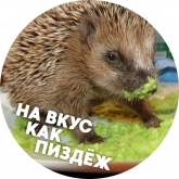 Стикер #4 из набора Упоротые ежики