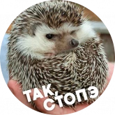 Стикер #9 из набора Упоротые ежики