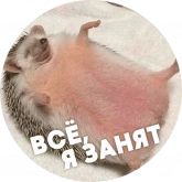 Стикер #8 из набора Упоротые ежики