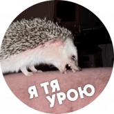 Стикер #11 из набора Упоротые ежики