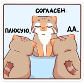 Стикер #6 из набора Манул Ур