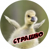 Стикер #6 из набора Очень злые птички