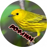 Стикер #10 из набора Очень злые птички