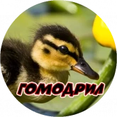 Стикер #8 из набора Очень злые птички