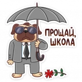 Стикер #5 из набора Выпускной 2019