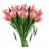 Стикер #12 из набора 8 марта