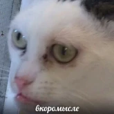 Стикер #3 из набора Лохматые волосюги