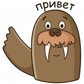 Стикер #9 из набора Морж Иннокентий