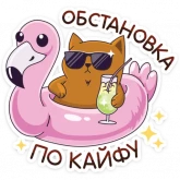 Стикер #9 из набора Девочка-Панда и кот Барсик