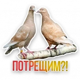 Стикер #11 из набора Не домашние животные