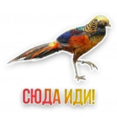 Стикер #5 из набора Не домашние животные