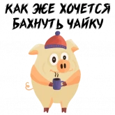 Стикер #11 из набора Зимний хрюня