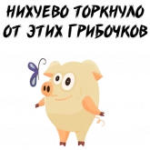 Стикер #4 из набора Зимний хрюня