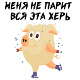 Стикер #8 из набора Зимний хрюня