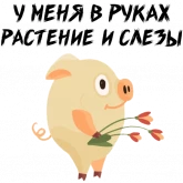 Стикер #5 из набора Зимний хрюня