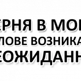 Стикер #2 из набора Стикеры для женщин