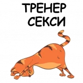 Стикер #10 из набора Йога с котом и лисичкой
