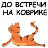 Стикер #8 из набора Йога с котом и лисичкой